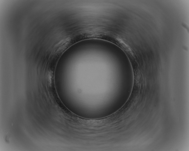 X0000091580026200708271230