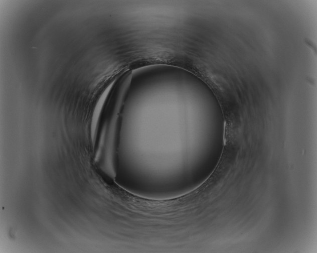 X0000091580027200708271230