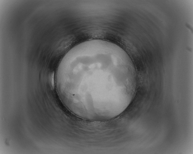 X0000091580028200708271230
