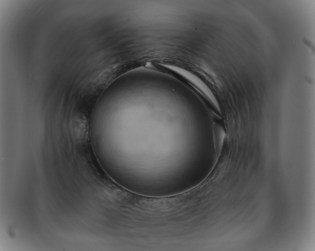 X0000091580029200708271230