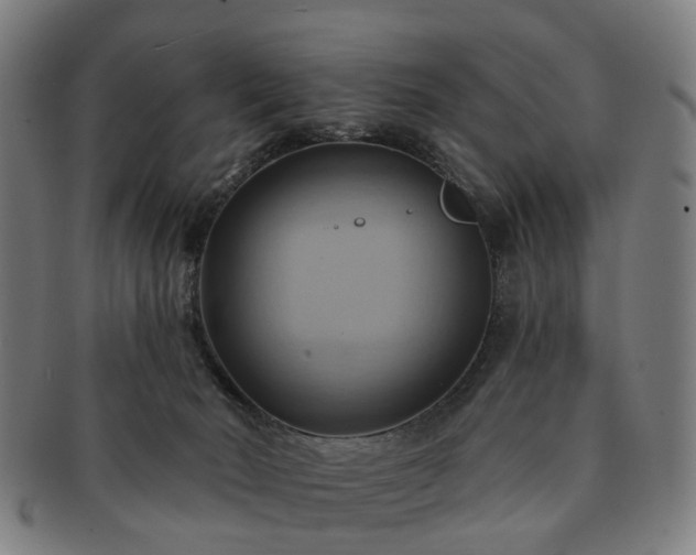 X0000091580030200708271230