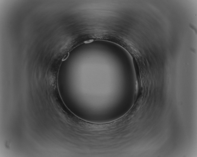 X0000091580031200708271230