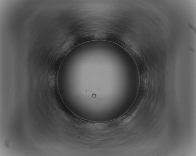 X0000091580032200708271230