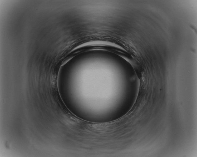 X0000091580033200708271230