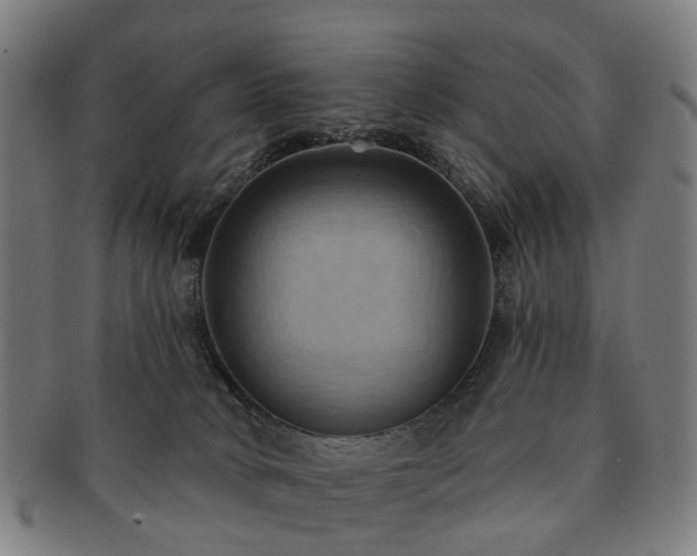 X0000091580034200708271230