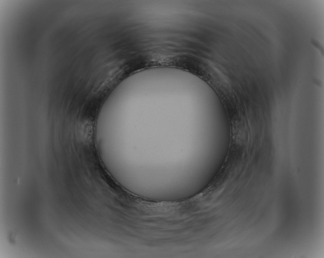 X0000091580036200708271230