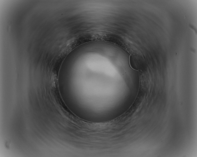 X0000091580038200708271230