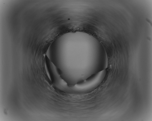 X0000091580039200708271230