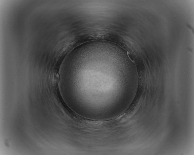 X0000091580040200708271230