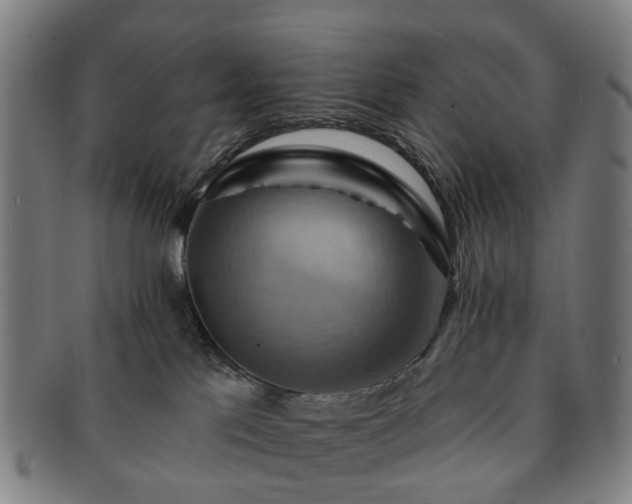 X0000091580041200708271230