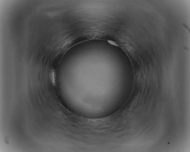 X0000091580042200708271230