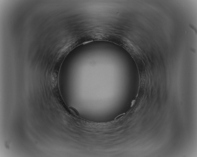 X0000091580043200708271230