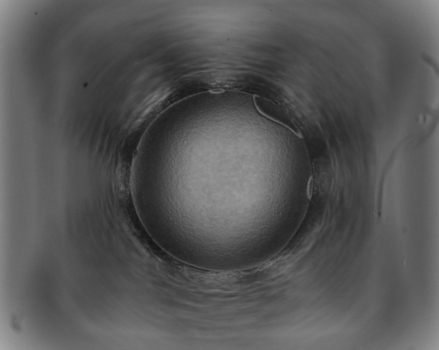 X0000091580044200708271230