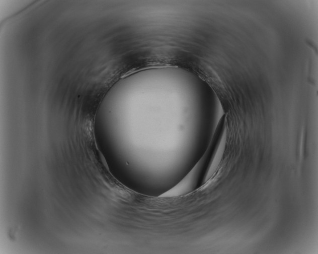 X0000091580045200708271230