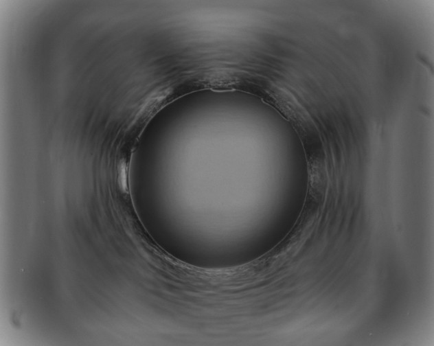 X0000091580046200708271230