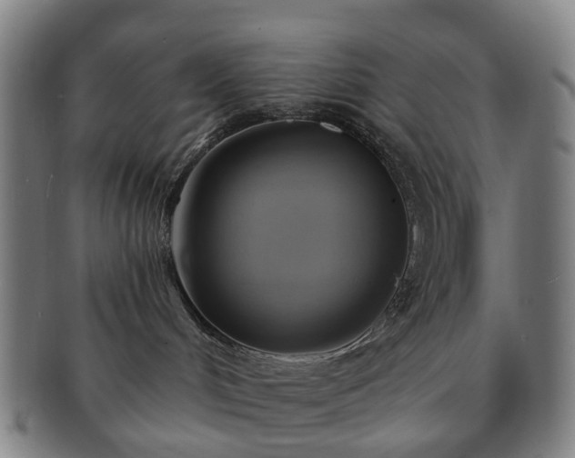 X0000091580048200708271230