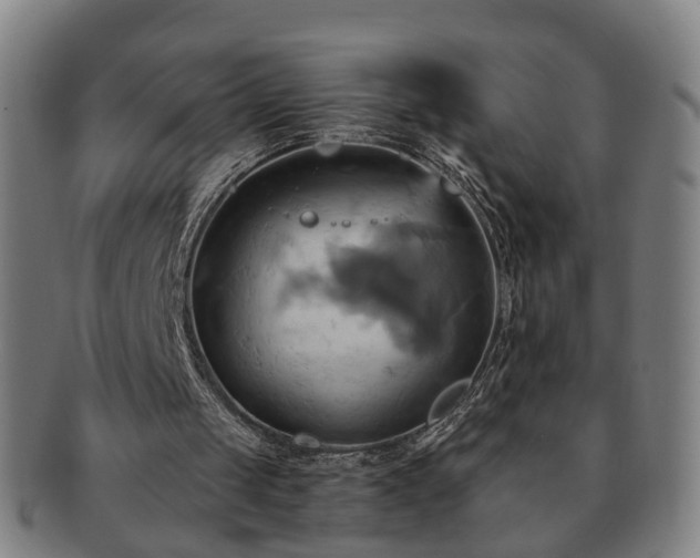 X0000091580049200708271229