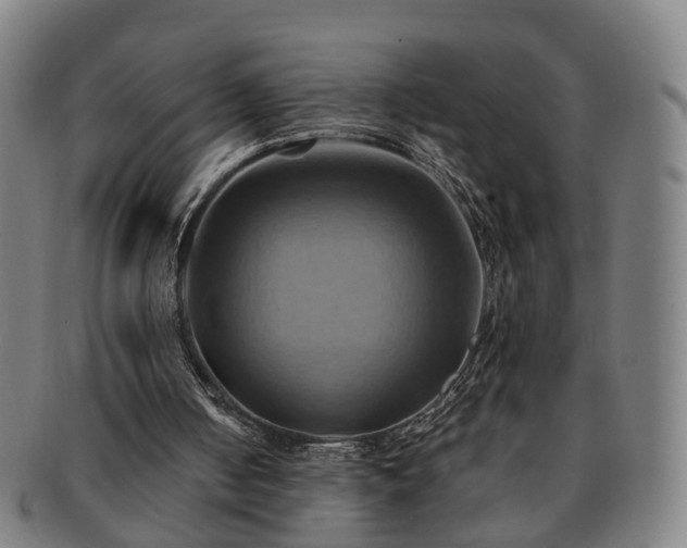 X0000091580050200708271229