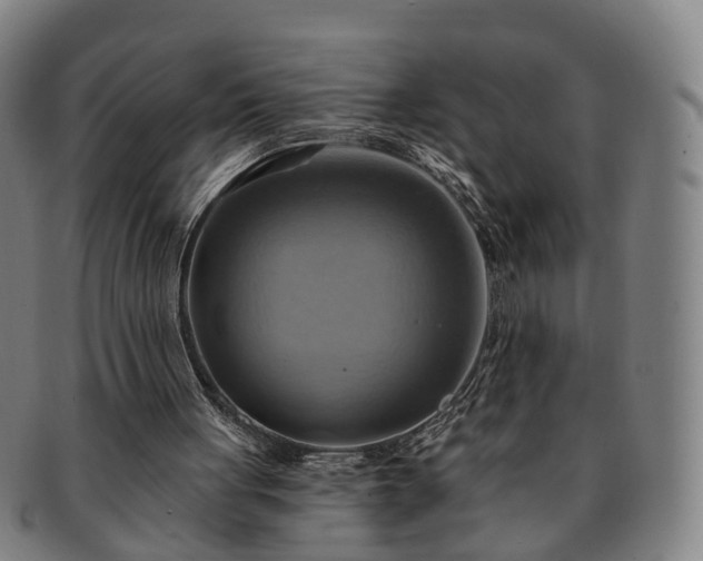 X0000091580051200708271229