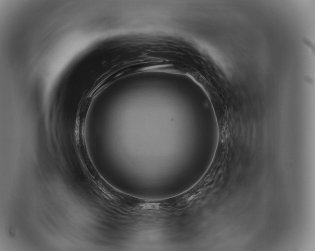 X0000091580052200708271229