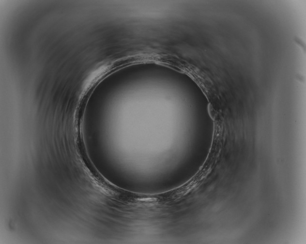 X0000091580053200708271229