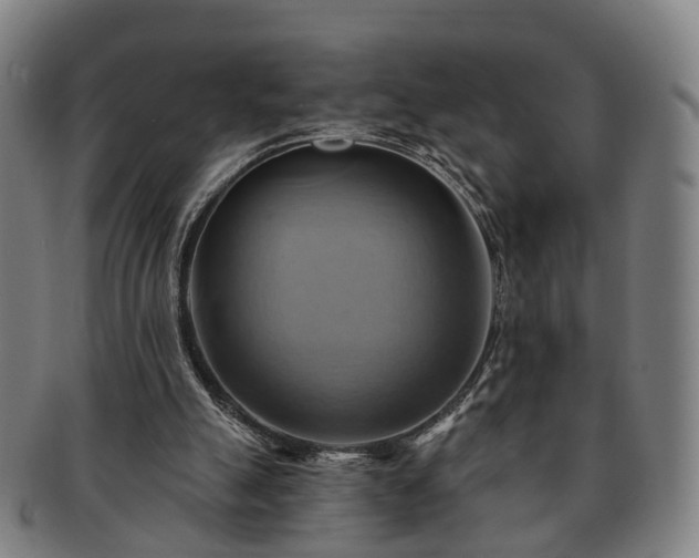 X0000091580055200708271229