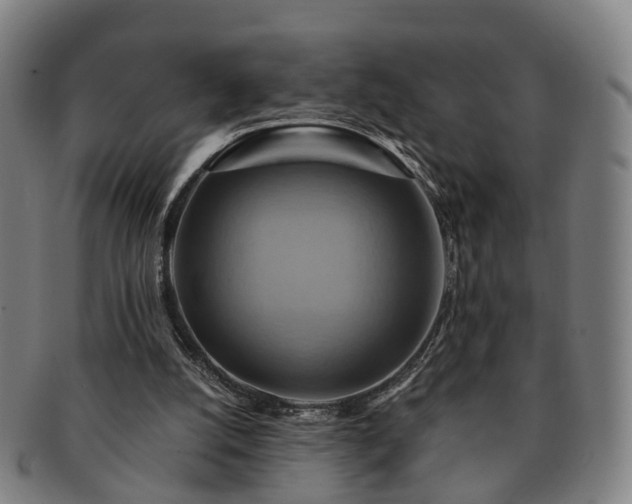 X0000091580056200708271229