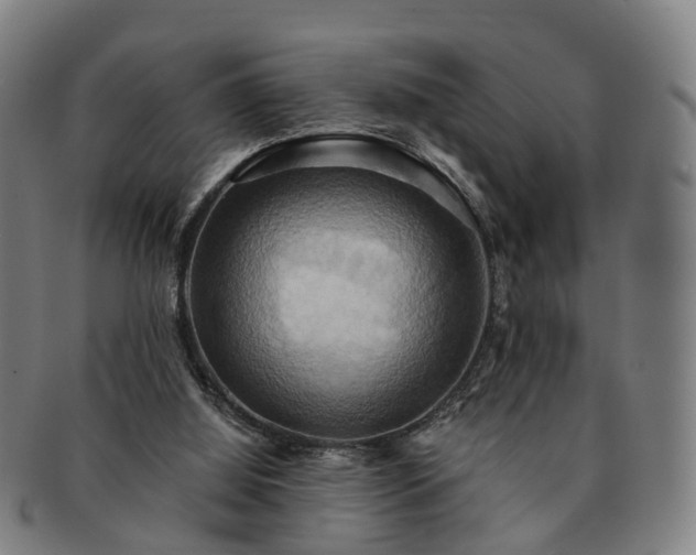 X0000091580060200708271230