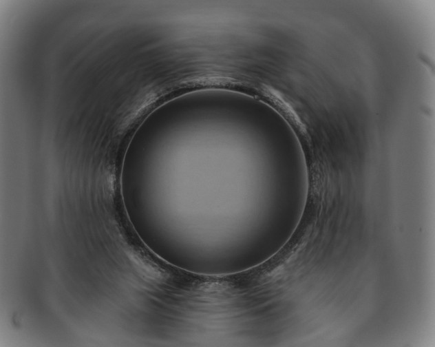 X0000091580063200708271230
