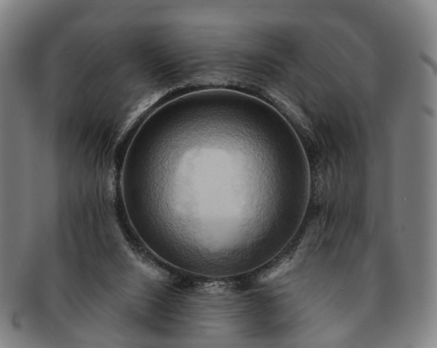 X0000091580064200708271230