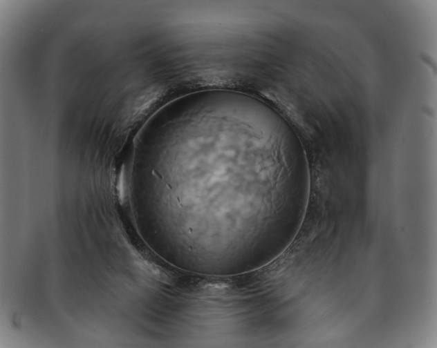 X0000091580066200708271230
