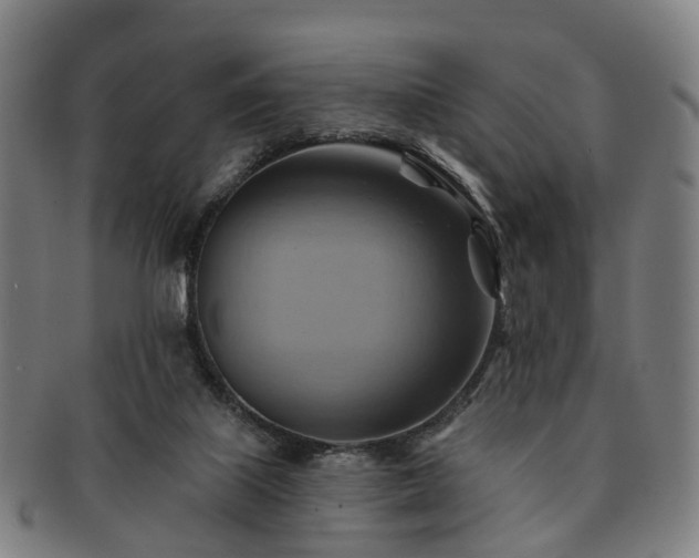 X0000091580067200708271230
