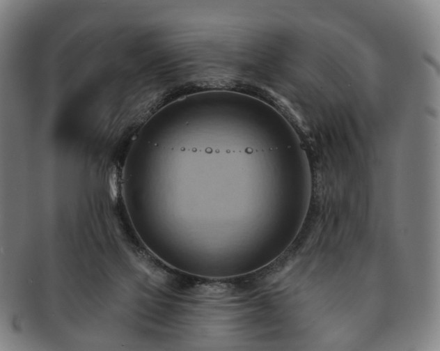 X0000091580069200708271230