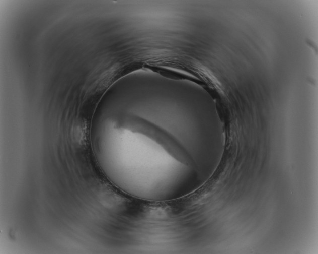X0000091580073200708271230