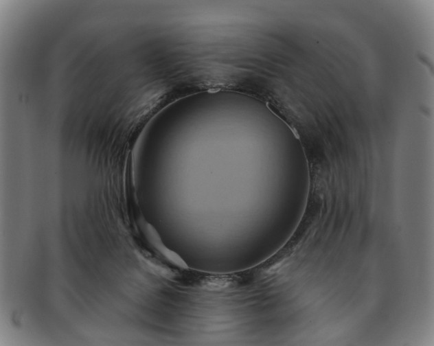 X0000091580076200708271230