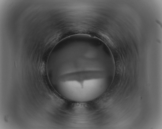 X0000091580077200708271230