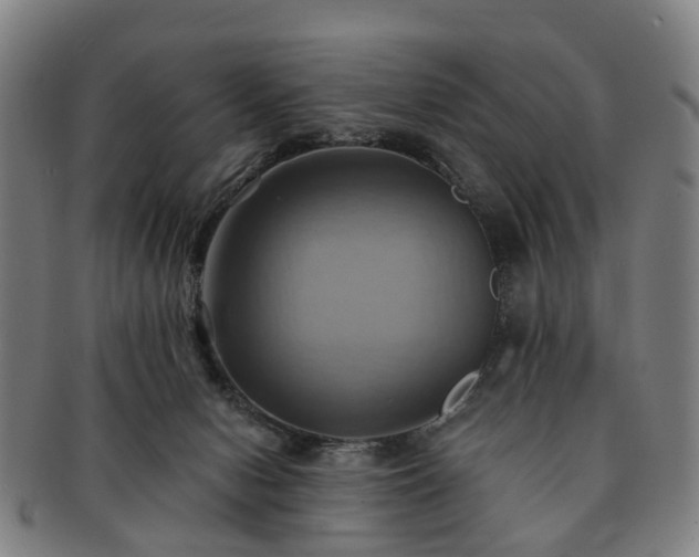 X0000091580078200708271230