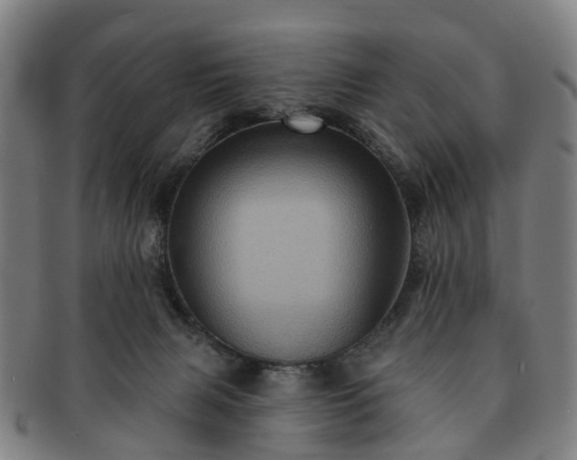 X0000091580079200708271230