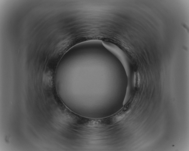 X0000091580080200708271230