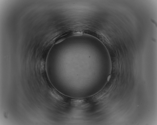 X0000091580081200708271230
