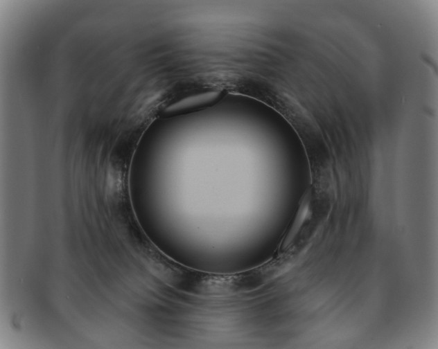 X0000091580084200708271230