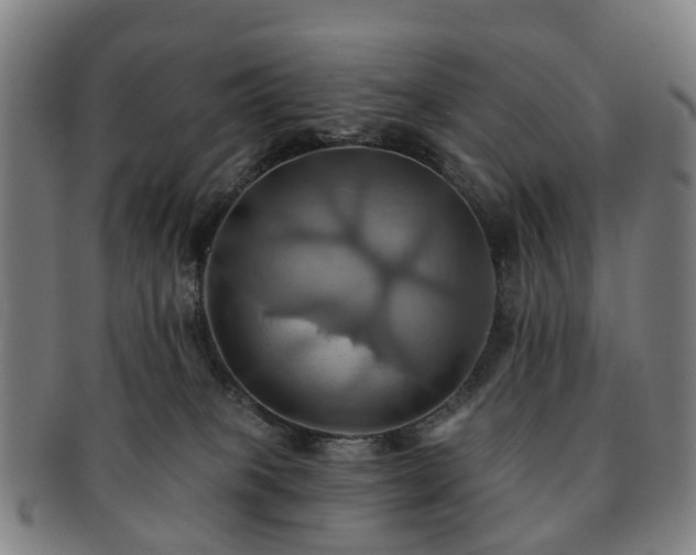 X0000091580085200708271230