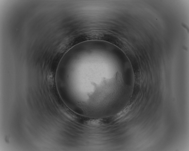 X0000091580086200708271230