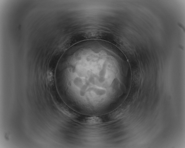 X0000091580087200708271230
