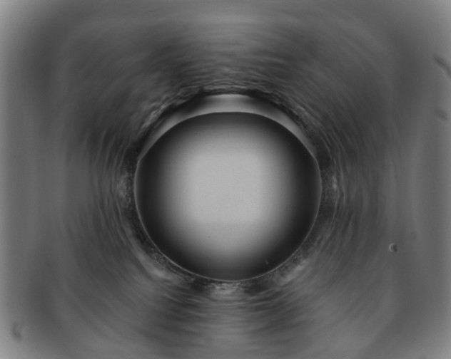 X0000091580088200708271230