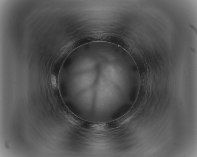 X0000091580089200708271230