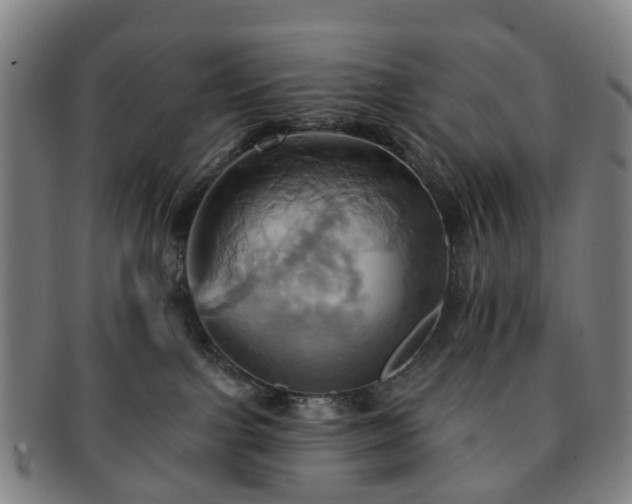 X0000091580091200708271230
