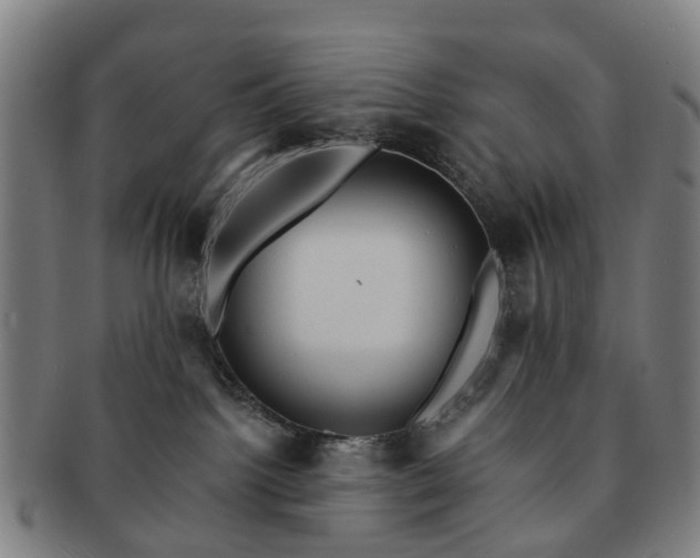 X0000091580092200708271230