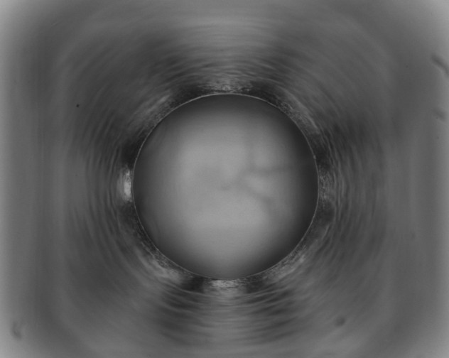 X0000091580095200708271230