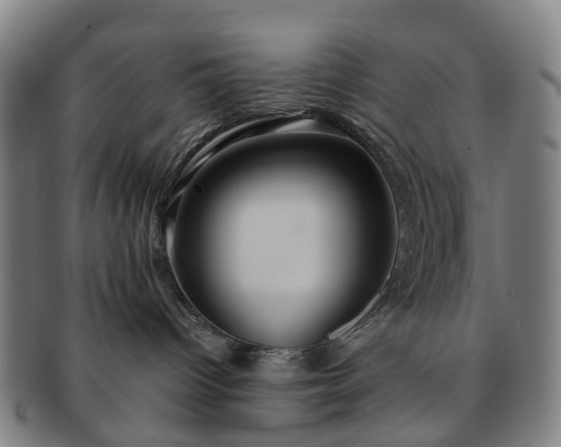 X0000091580096200708271230